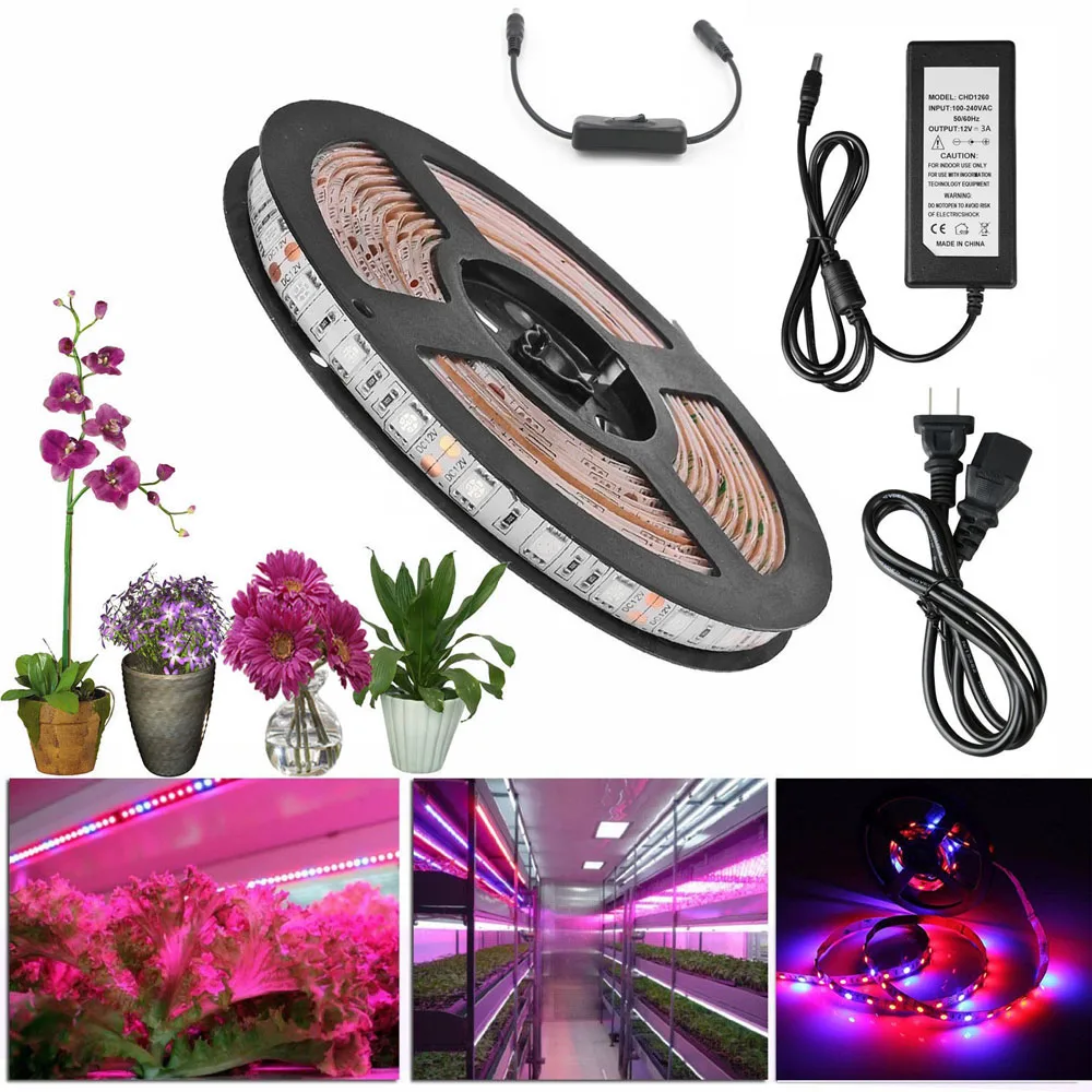 Full Spectrum phyto apollo LED Plant Grow Light Set + Power Supply + Switch Aquarium Greenhouse Hydroponic Plant Growing Light
Full Spectrum phyto apollo LED Plant Grow Light Set + Power Supply + Switch Aquarium Greenhouse Hydroponic Plant Growing Light