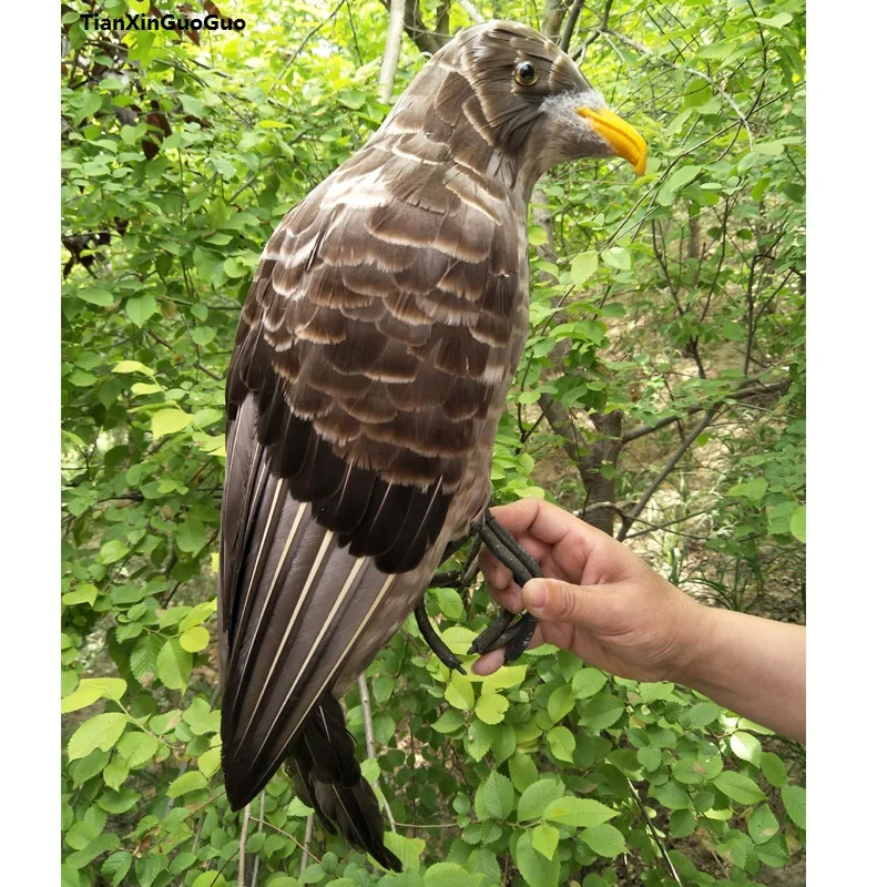 large 45cm simulation bird brown feathers eagle hard model bird prop,garden decoration gift s1195
large 45cm simulation bird brown feathers eagle hard model bird prop,garden decoration gift s1195