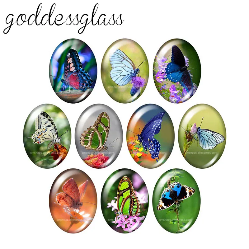 Beauty Vivid Butterfly 10pcs mixed 13x18mm/18x25mm/30x40mm Oval photo glass cabochon demo flat back Making findings TB0129
Beauty Vivid Butterfly 10pcs mixed 13x18mm/18x25mm/30x40mm Oval photo glass cabochon demo flat back Making findings TB0129