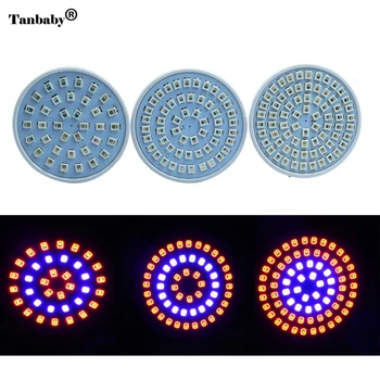 36leds 54leds 72leds E27 Full Spectrum LED Plant Grow Light Led Grow Lamps For Flowering Plant and Hydroponics Outdoor Lighting
36leds 54leds 72leds E27 Full Spectrum LED Plant Grow Light Led Grow Lamps For Flowering Plant and Hydroponics Outdoor Lighting