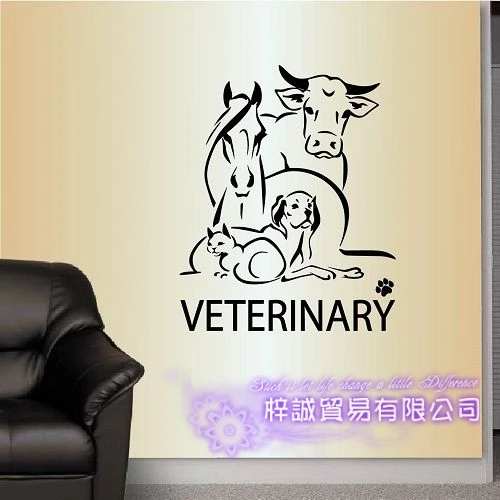 Наклейка для домашних животных DCTAL Dog Cat VETERINARY Pet Shop виниловые настенные