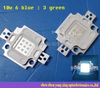 10W Actinic Hybrid Royal blue 440-445mm+ green 520-525nm high power led light bulb
10W Actinic Hybrid Royal blue 440-445mm+ green 520-525nm high power led light bulb