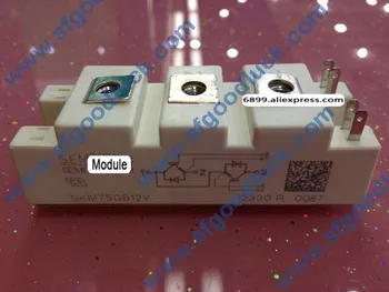 SKM75GB12V Transistor IGBT Module N-CH 1200V 114A 7-Pin SEMITRANS 2 Weight:160g Free Shipping
SKM75GB12V Transistor IGBT Module N-CH 1200V 114A 7-Pin SEMITRANS 2 Weight:160g Free Shipping