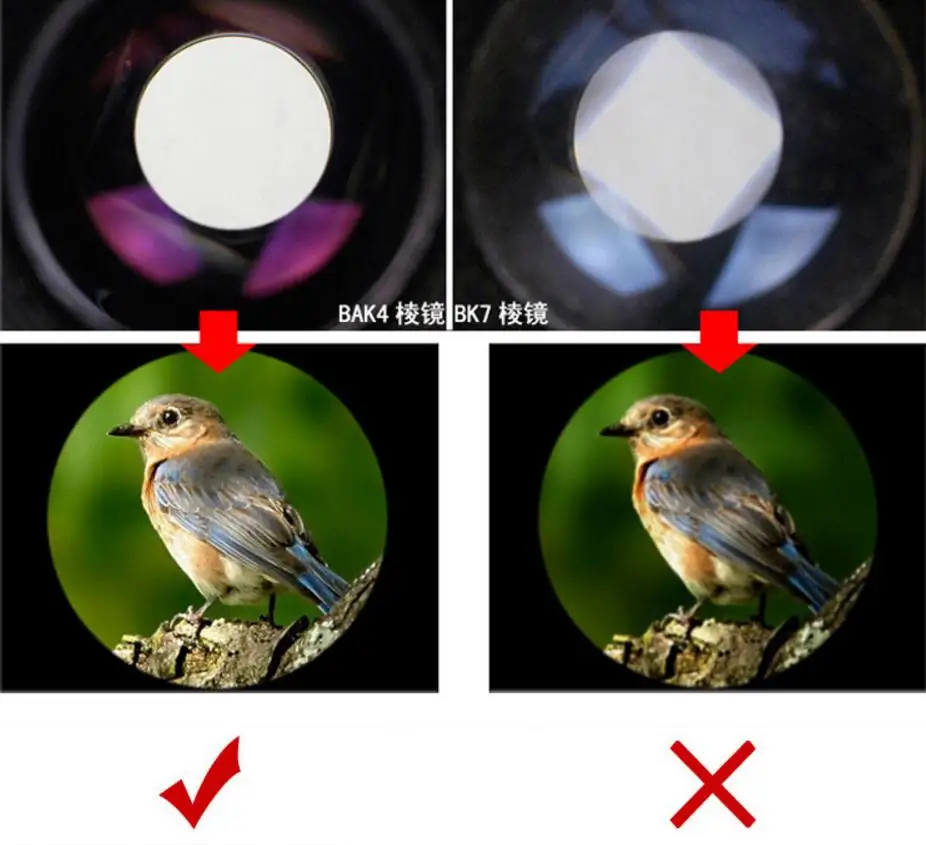 36020180905175825795