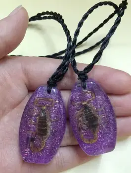FREE SHIPPING Holiday sales 12 pcs real insect specimen golden scorpion Bright purple back pendant
FREE SHIPPING Holiday sales 12 pcs real insect specimen golden scorpion Bright purple back pendant
