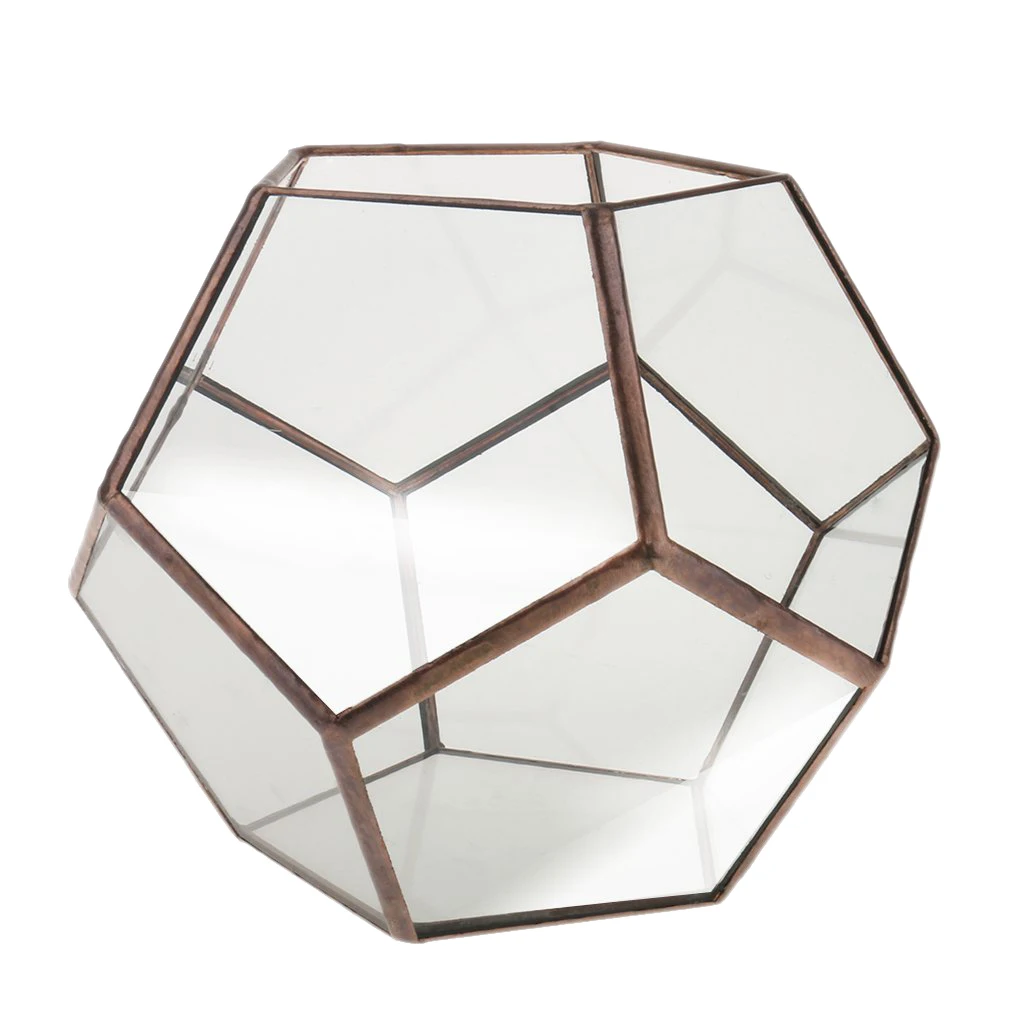 Glass Pentagon Geometric Terrarium Container Window Sill Decor Flower Pot Balcony Planter Diy Display Box (No Plant)
Glass Pentagon Geometric Terrarium Container Window Sill Decor Flower Pot Balcony Planter Diy Display Box (No Plant)