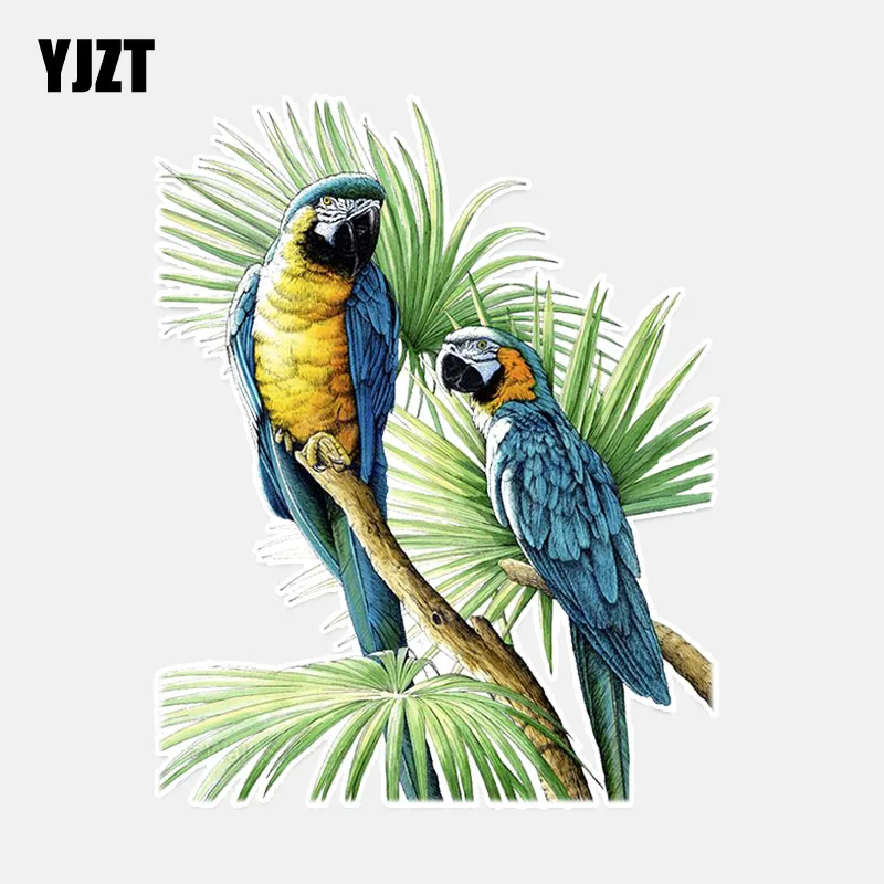YJZT 11.4*14.4CM Beautiful Two Parrot Decor PVC Personalized Car Sticker High Quality 11A0100
YJZT 11.4*14.4CM Beautiful Two Parrot Decor PVC Personalized Car Sticker High Quality 11A0100
