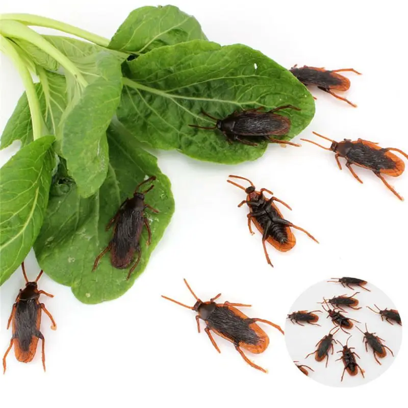 12Pcs Lifelike Cockroaches Toy Halloween Gadget Gags Practical Jokes Toys Plastic Bugs
12Pcs Lifelike Cockroaches Toy Halloween Gadget Gags Practical Jokes Toys Plastic Bugs