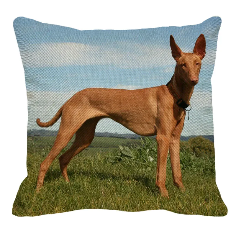 XUNYU 45cmx45m Animal Dog pharaoh hound New Linen Comfortable Cushion Cover Living Room Sofa Decorative Pillow Cover YH012
XUNYU 45cmx45m Animal Dog pharaoh hound New Linen Comfortable Cushion Cover Living Room Sofa Decorative Pillow Cover YH012