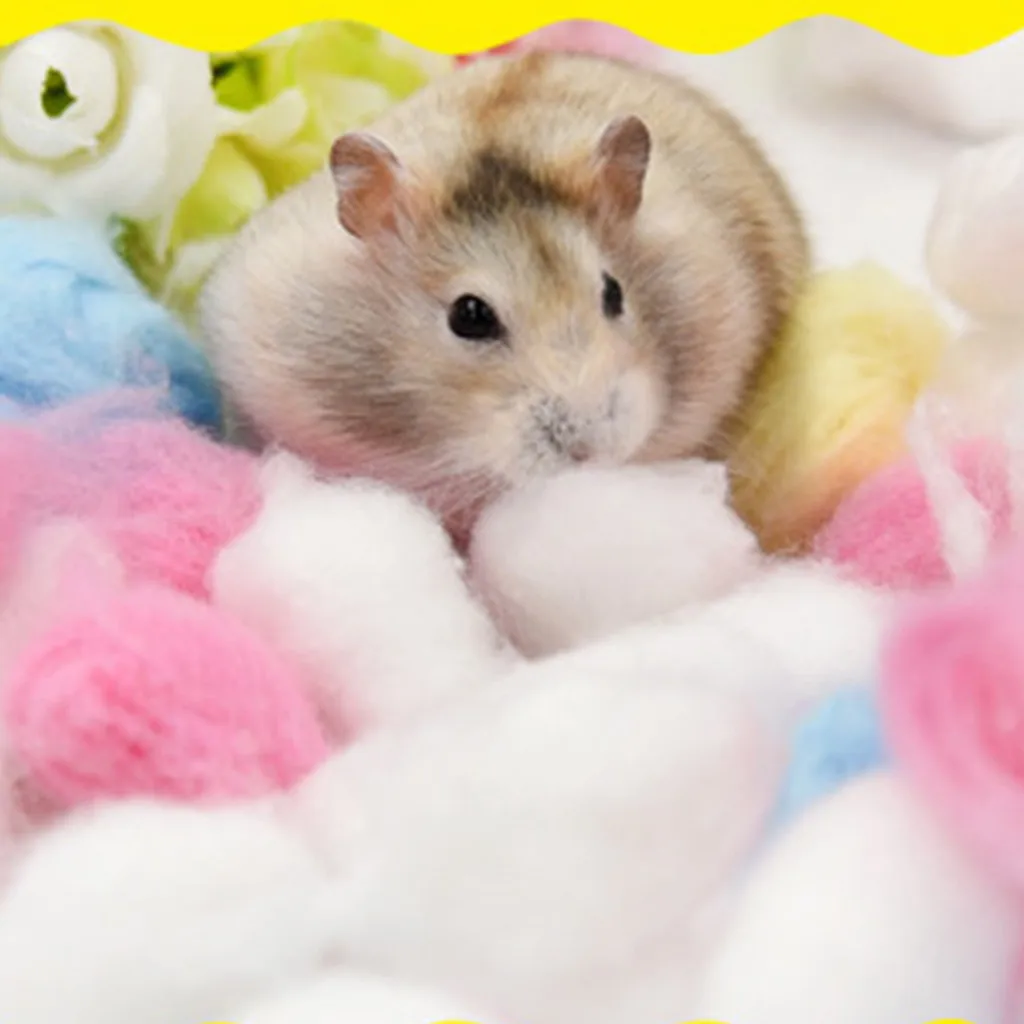TAILUP Popular Pet Dog Cat Funny Pet Hamster Cotton Ball Winter Warm Gold Bear Paper Cotton 100 PCS 30
TAILUP Popular Pet Dog Cat Funny Pet Hamster Cotton Ball Winter Warm Gold Bear Paper Cotton 100 PCS 30