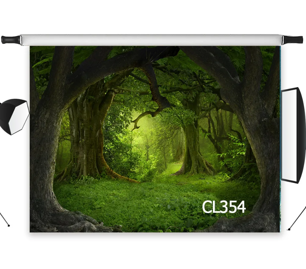 Seamless Washable No Crease Polyester Old Thick Forest Custom Background Decor Backdrop Photography Studio Props Photographic
Seamless Washable No Crease Polyester Old Thick Forest Custom Background Decor Backdrop Photography Studio Props Photographic