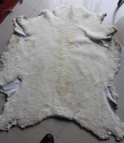 Высококачественная Австралийская овчина стриженная овчина|fur pelt|sheep fursheep pelts |