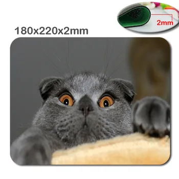 The Cat Under A Rug antiskid quick game mouse pad printing size 220 * 180 * 2 mm high DIY soft rubber game mouse cool mouse pad
The Cat Under A Rug antiskid quick game mouse pad printing size 220 * 180 * 2 mm high DIY soft rubber game mouse cool mouse pad