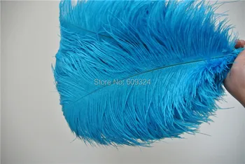 Free Shipping 100 pcs/lot 20-22inch 50-55cm turquoise Ostrich Feather plume for Wedding Centerpiece party event supplies decor
Free Shipping 100 pcs/lot 20-22inch 50-55cm turquoise Ostrich Feather plume for Wedding Centerpiece party event supplies decor
