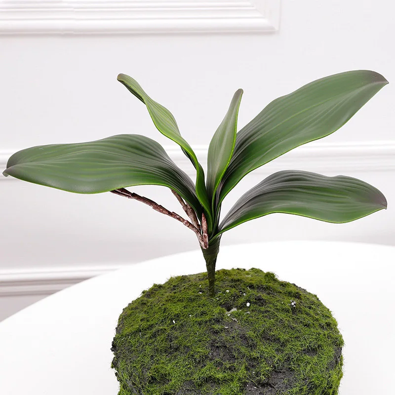 1 Piece Artificial Butterfly Orchid Leaf Home Wedding Party Decor Simulation Plants Green
1 Piece Artificial Butterfly Orchid Leaf Home Wedding Party Decor Simulation Plants Green