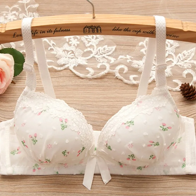Deruilady Lace Wire Free Bra Adjustabled Straps Sexy Girl Bras For Women Small Breast Lace Lingerie Push Up Bra Underwear Women
Deruilady Lace Wire Free Bra Adjustabled Straps Sexy Girl Bras For Women Small Breast Lace Lingerie Push Up Bra Underwear Women