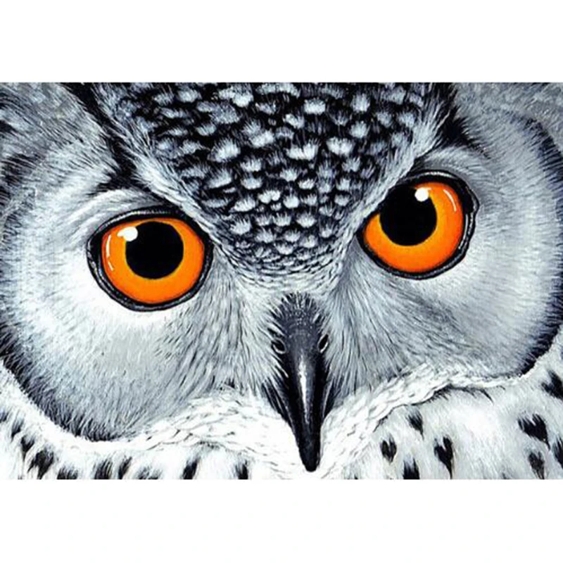 5D DIY Square/Round Diamond Painting Owl Crystal Diamond Painting Cross Stitch White Owl Animal Needlework Home Decorative z286
5D DIY Square/Round Diamond Painting Owl Crystal Diamond Painting Cross Stitch White Owl Animal Needlework Home Decorative z286