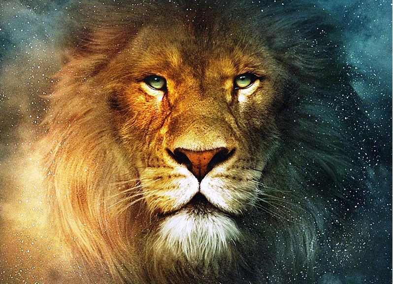 2019 New Diamond Embroidery Animal lion Round drill Cross stitch diamond painting Home Decoration Gifts
2019 New Diamond Embroidery Animal lion Round drill Cross stitch diamond painting Home Decoration Gifts