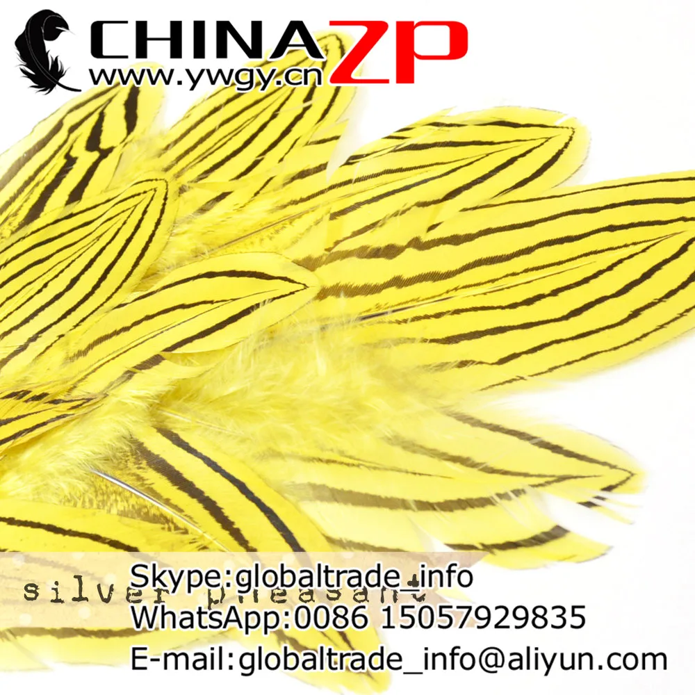 Manufacturer in CHINAZP Factory 2000pcs/lot 8~10cm Length Top Quality Dyed Yellow Silver Pheasant Feathers for DIY Decorations
Manufacturer in CHINAZP Factory 2000pcs/lot 8~10cm Length Top Quality Dyed Yellow Silver Pheasant Feathers for DIY Decorations