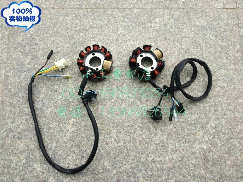 Ma Jiesite T3T2T5T8T6 Jinlang original engine coil magneto stator 11 level DC GY6
Ma Jiesite T3T2T5T8T6 Jinlang original engine coil magneto stator 11 level DC GY6