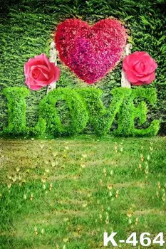 1.5x2m "LOVE" Beautiful Flowers Decor Heart Shape Rose Flowers Green Photo Backdrops Printing Wedding Photographic Backgrounds
1.5x2m "LOVE" Beautiful Flowers Decor Heart Shape Rose Flowers Green Photo Backdrops Printing Wedding Photographic Backgrounds