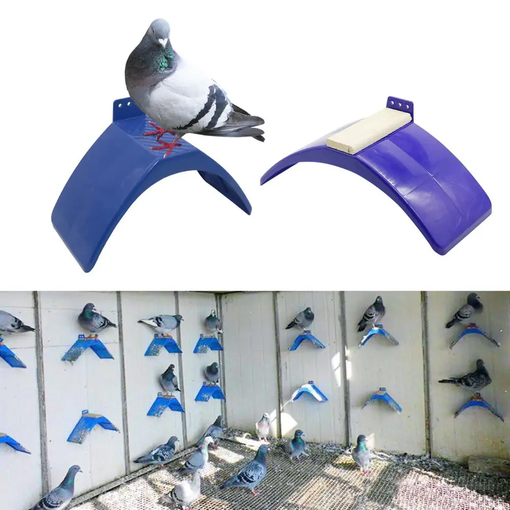 5 Pcs Birds Perch Holder Parrot Pigeon Dove Stand Rest Roost Frame Bird Supplies Bird Cages Nests Accessories
5 Pcs Birds Perch Holder Parrot Pigeon Dove Stand Rest Roost Frame Bird Supplies Bird Cages Nests Accessories