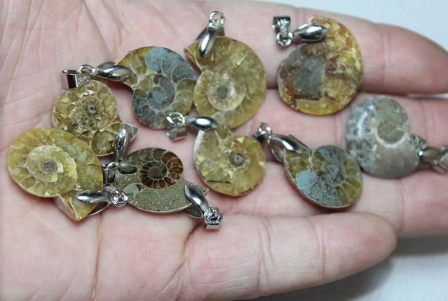 (9pcs/lot) NATURAL Conch fossil Crystal HEALING pendant 
(9pcs/lot) NATURAL Conch fossil Crystal HEALING pendant