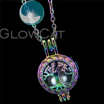 R-C23 Colorful Plant Tree Life Beads Cage Pendant Aromatherapy Perfume Diffuser Stone Pearl Cage Locket Necklace
R-C23 Colorful Plant Tree Life Beads Cage Pendant Aromatherapy Perfume Diffuser Stone Pearl Cage Locket Necklace