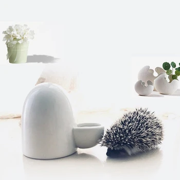 Small Animal Automatic Ceramic Water Bottle Silent Little Pet Drinking Bottle Food Dispenser For Bird/Hedgehog/Hamster
Small Animal Automatic Ceramic Water Bottle Silent Little Pet Drinking Bottle Food Dispenser For Bird/Hedgehog/Hamster