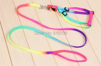 Free Shipping+Wholesale Pet Dog Leash Multicolor Traction Rope Adjustable Pet Harness Rope Chest Strap,200pcs/lot
Free Shipping+Wholesale Pet Dog Leash Multicolor Traction Rope Adjustable Pet Harness Rope Chest Strap,200pcs/lot