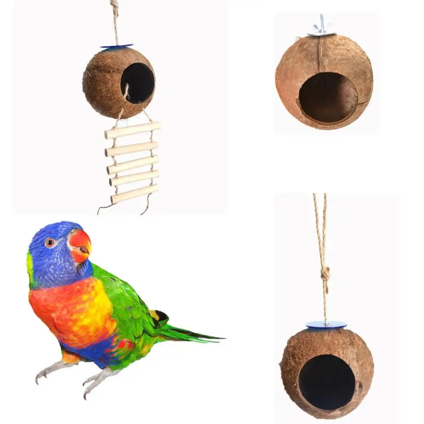 Transer NEW HOT Big Soft Natural Coconut Shell Bird Nest House Hut Cage Feeder Pet Parrot Hamster Toy New 18Mar27
Transer NEW HOT Big Soft Natural Coconut Shell Bird Nest House Hut Cage Feeder Pet Parrot Hamster Toy New 18Mar27
