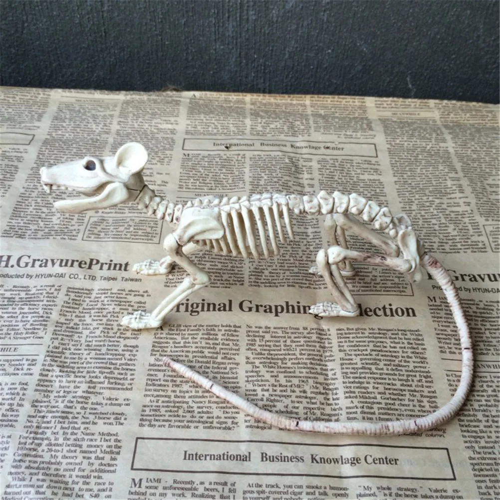Nice Skeleton Rat 100% Plastic Animal Skeleton Bones for Horror Halloween Decoration
Nice Skeleton Rat 100% Plastic Animal Skeleton Bones for Horror Halloween Decoration
