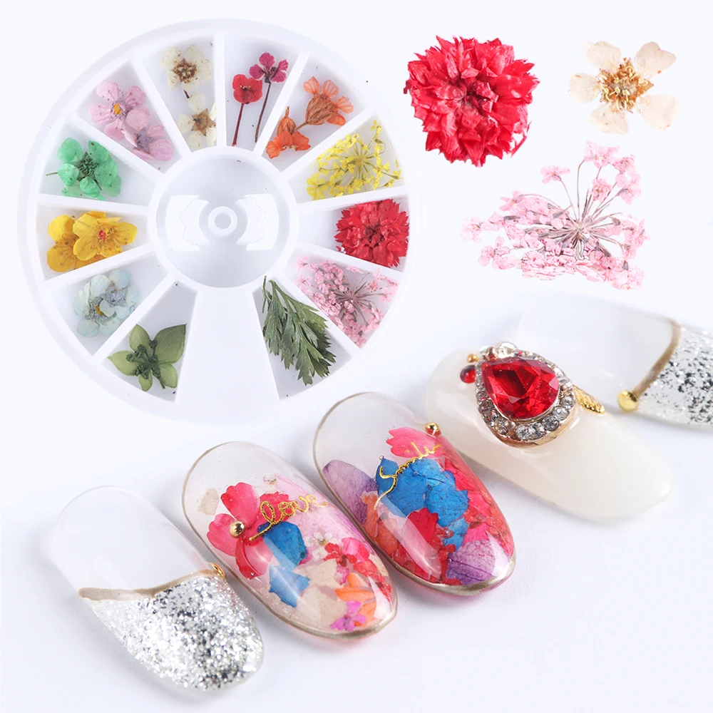 1 Wheel Nail Art Dried Flowers Mixed Charm Leaf Colorful Blossoming Flowers for UV Gel Polish Nail Decorations Accessories TRF10
1 Wheel Nail Art Dried Flowers Mixed Charm Leaf Colorful Blossoming Flowers for UV Gel Polish Nail Decorations Accessories TRF10