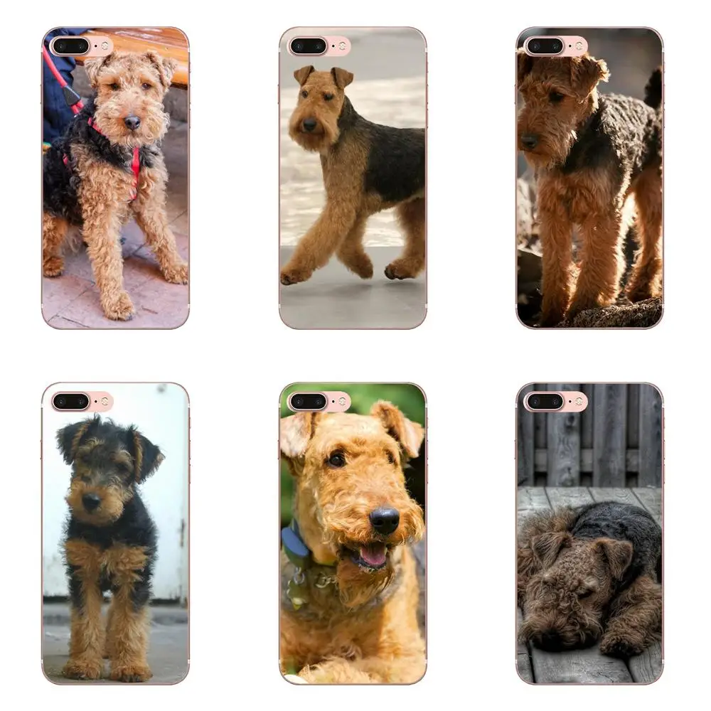 I Love My Welsh Terrier Dog Puppies For Apple iPhone 4 4S 5 5C 5S SE 6 6S 7 8 Plus X XS Max XR Soft Tpu Phone Case
I Love My Welsh Terrier Dog Puppies For Apple iPhone 4 4S 5 5C 5S SE 6 6S 7 8 Plus X XS Max XR Soft Tpu Phone Case