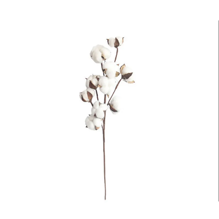 1PCS 10 head natural cotton branch artificial flowers home decoration wedding holding flowers plant wall fake flowers
1PCS 10 head natural cotton branch artificial flowers home decoration wedding holding flowers plant wall fake flowers
