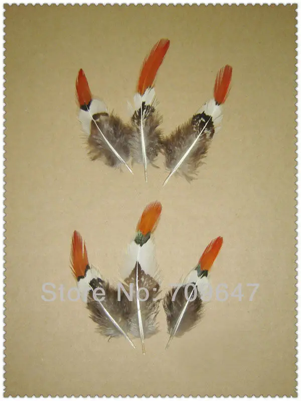 Pheasant Feathers,50Pcs/Lot,5-9cm Long-SHORT NATURAL Orange Tips Lady Amherst Pheasant Feathers,Feather for crafts
Pheasant Feathers,50Pcs/Lot,5-9cm Long-SHORT NATURAL Orange Tips Lady Amherst Pheasant Feathers,Feather for crafts