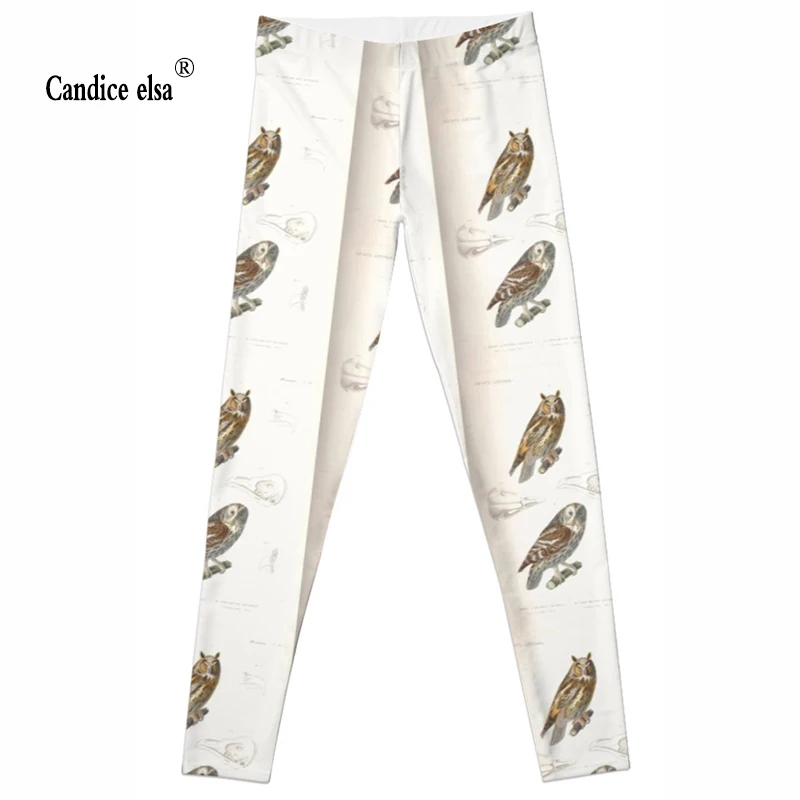 Hot sales new arrival sexy digital printing women leggings fashion fold the effect of owl pant capris soft fitness plus size
Hot sales new arrival sexy digital printing women leggings fashion fold the effect of owl pant capris soft fitness plus size