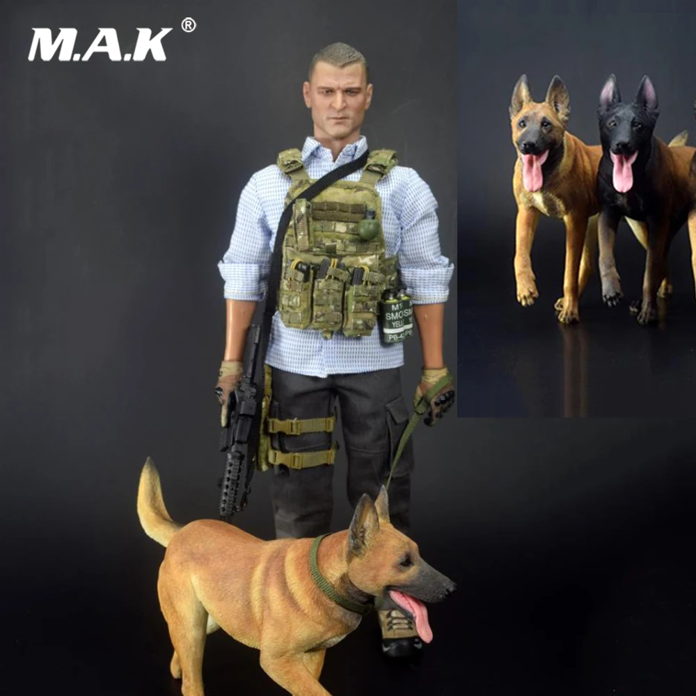 For Collection 1/6 Action Figure Scene Accesories TC-M9010 Malinois 2.0 Working Dog Figure Model for 12'' Actiob Figure
For Collection 1/6 Action Figure Scene Accesories TC-M9010 Malinois 2.0 Working Dog Figure Model for 12'' Actiob Figure
