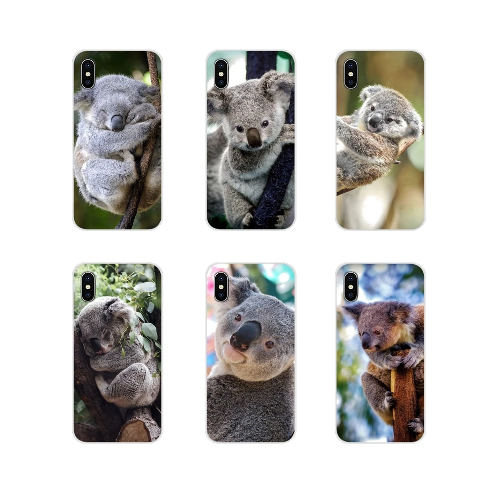 Animal Sleeping Lazy Koala Silicone Phone Cases Covers For Samsung Galaxy J1 J2 J3 J4 J5 J6 J7 J8 Plus 2018 Prime 2015 2016 2017
Animal Sleeping Lazy Koala Silicone Phone Cases Covers For Samsung Galaxy J1 J2 J3 J4 J5 J6 J7 J8 Plus 2018 Prime 2015 2016 2017