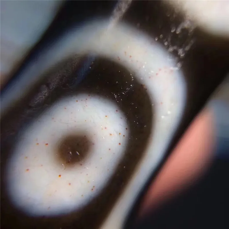 _20181213113026