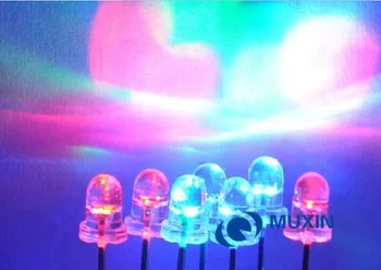 Free shipping 200PCS 5mm Diffused RGB Rainbow Fast Flashing Flash Red Green Blue LED Leds 0001 
Free shipping 200PCS 5mm Diffused RGB Rainbow Fast Flashing Flash Red Green Blue LED Leds 0001