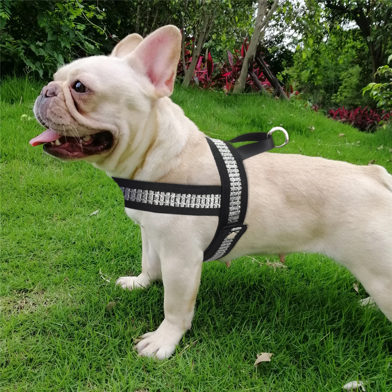 No-Pull Dog Harness Adjustable Reflective Dog Harness For Small Medium Large Dog Dog Training Walking Safety Vest Harness
No-Pull Dog Harness Adjustable Reflective Dog Harness For Small Medium Large Dog Dog Training Walking Safety Vest Harness