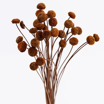 1-1.5cm/30pcs,Natural mini Dried Botton Flower Branch,Eternell Display Flowers for Wedding Party Home Decoration accessories
1-1.5cm/30pcs,Natural mini Dried Botton Flower Branch,Eternell Display Flowers for Wedding Party Home Decoration accessories
