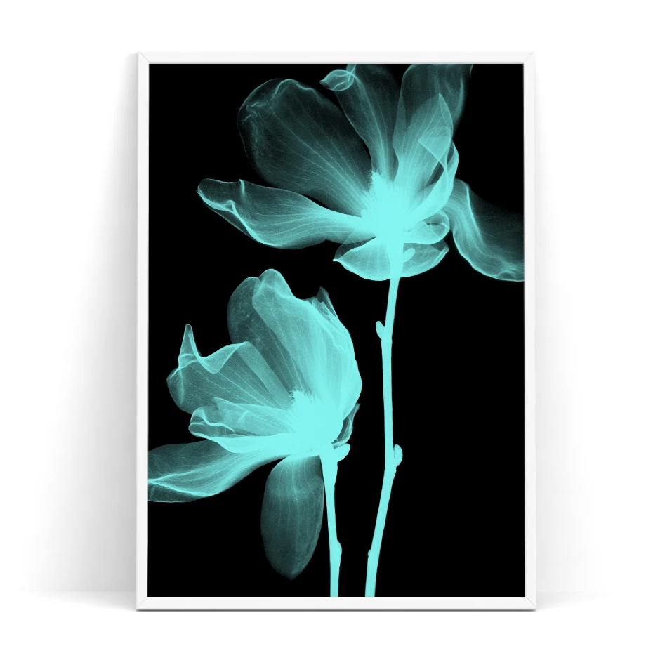 color_opt_18