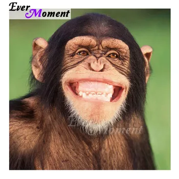 Ever Moment Diamond Painting Handmade Mosaic Full Square Drill 5D DIY Smile Gorilla Picture Rhinestone Diamond Embroidery 3F898
Ever Moment Diamond Painting Handmade Mosaic Full Square Drill 5D DIY Smile Gorilla Picture Rhinestone Diamond Embroidery 3F898
