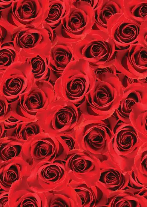 SHENGYONGBAO Vinyl Custom Photography Backdrops Prop Valentine day rose floral floor theme Photo Studio Background SYO-46
SHENGYONGBAO Vinyl Custom Photography Backdrops Prop Valentine day rose floral floor theme Photo Studio Background SYO-46