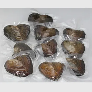 High quality 6-7 mm Perfectly Round Pearls Freshwater Oyster Shell best Mysterious Gift Surprise For Pearl fashion Party FR002
High quality 6-7 mm Perfectly Round Pearls Freshwater Oyster Shell best Mysterious Gift Surprise For Pearl fashion Party FR002