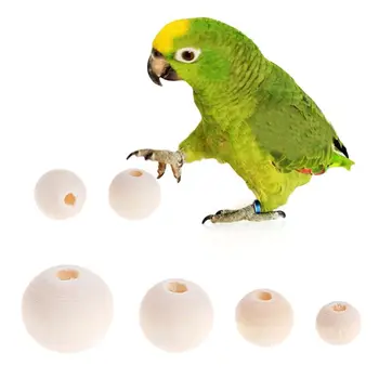 50 Pcs/Set Natural Wooden Beads Parrot Bird Hamster Small Pets Bite Chew Toys DIY Jewelry Making Necklace Pendant Bead Multi
50 Pcs/Set Natural Wooden Beads Parrot Bird Hamster Small Pets Bite Chew Toys DIY Jewelry Making Necklace Pendant Bead Multi