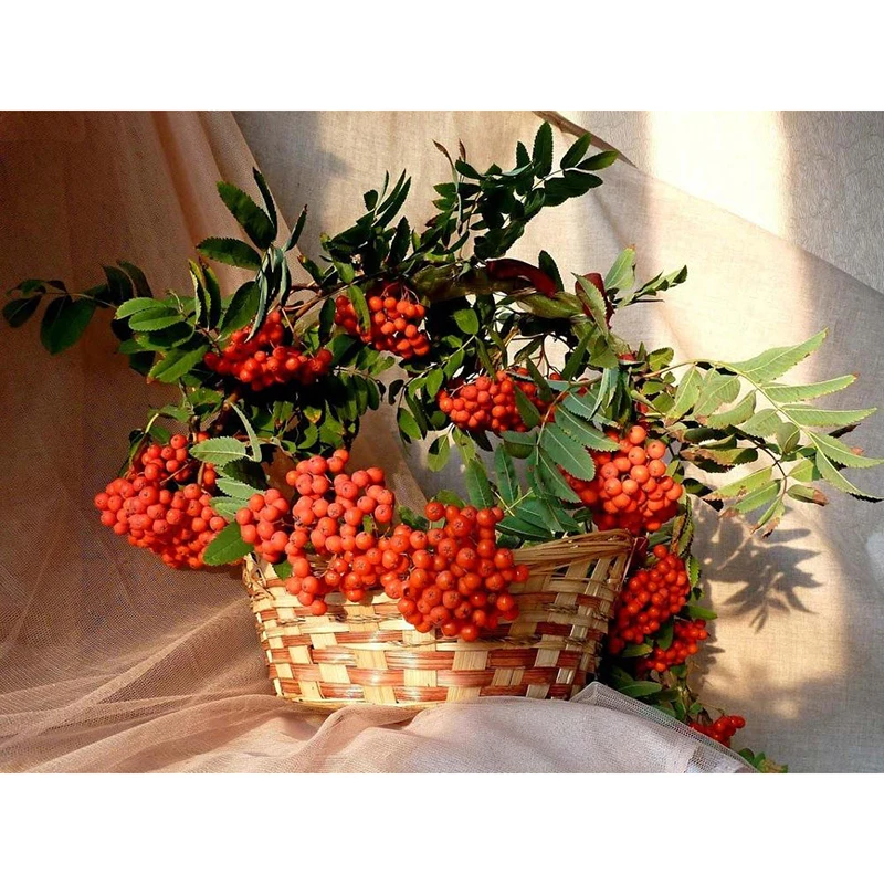 Diamond Embroidery Full Display Landscape Rhinestone Painting Diamond Mosaic Scenery Rowan Diamond Painting Kitchen Decor
Diamond Embroidery Full Display Landscape Rhinestone Painting Diamond Mosaic Scenery Rowan Diamond Painting Kitchen Decor