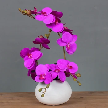 Artificial flowers and ceramic vase Modern home decoration brief table decor for living room faux flowers wedding fake flowers
Artificial flowers and ceramic vase Modern home decoration brief table decor for living room faux flowers wedding fake flowers